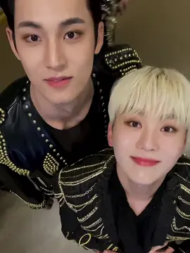 boogyu cuties <3 #boogyu #mingyu #seungkwan #seventeen #세븐틴 #svt #sebong #adorehoseoki #fyp #foryou 