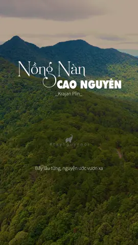 [Đêm nay ta chung tay bên nhau. men rựu ấm nồng nàn] [Và để bao nhiêu con tim thao thức đêm thâu] #taynguyen #tno #xuhuong #fyp #nongnancaonguyen