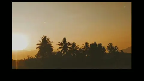 kopi susu tanpa gula...lanjut!?🗿#mentahan #storywa #storytime #lirycs #fypシ 