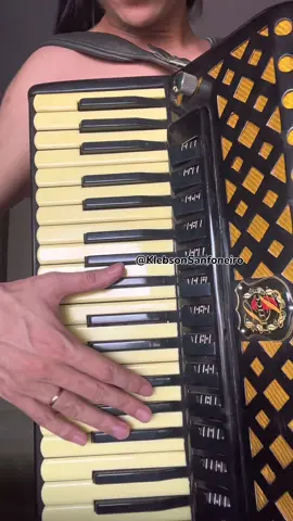 Solos @João Gomes 🥰🪗 #piseiro #joaogomes #viralvideo #foryou #fly #sanfoneiro #nordeste 