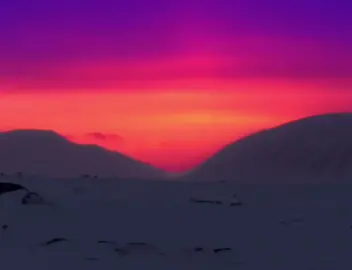 YT: tomatoanus #hope 