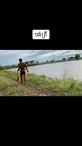 តោះបង់ត្រី