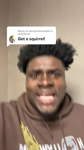 Replying to @damiontherealtor I love this! @natural.beauty54 @Kay dang #squirell #xyzbca #foryou #comedy 