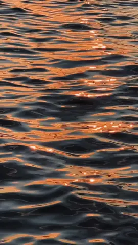sunset magic 