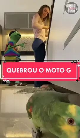 Papagaio QUEBROU meu celular JÚLIA! 😡 #DidYouYawn #DiaDosProfessores #funny #engracado #fy #fyp #fyyyyyyy #comedia #fyyyyy #zezao #zezaotiktok #zezaosapo #