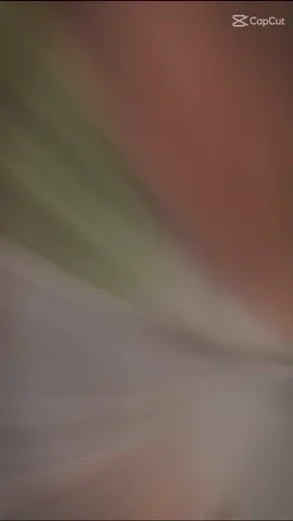 cuối tuần rồi ae đi nhậu đi 😆