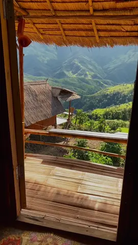 ยินดีที่ได้พบคุณ…ถึงแม้ว่าเราจะจากลากันไปแล้วก็ตาม⛰🍃 #เลาะภูวิวโฮมสเตย์ 