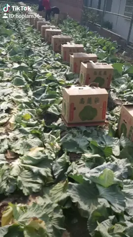 cuộc sống phải  cố gắng moi  thứ......😀😀😀😀😀