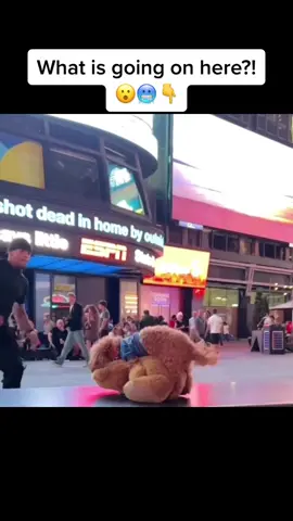 These furries are out of control 😩 #bboy #breakdance #dancebattle #baile #viral #xyzbca #respect #hiphop #nyc #fypシ 