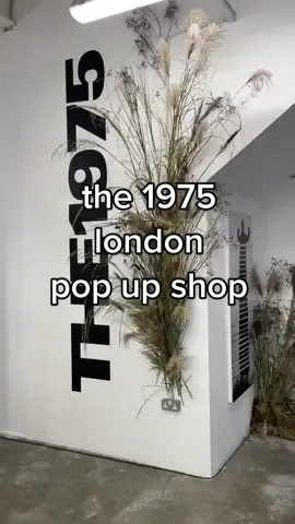 i don’t want to mention how the full band showed up after i left 😐 #the1975 #bfiafl #mattyhealy 