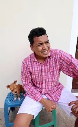 perrito que habla #alfredolarin #moly #parati #elsalvador #mexico #comedia 