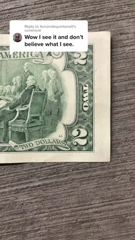 Replying to @fernandoquintana0 many people will start to see many won’t care many will think it’s a troll #fypシ #foryou #foryoupage #2dollarbill #viral #interesting #mystery #betyoudidntknow 