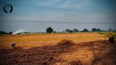 Dường như bầu không khí như vậy luôn có thể khiến người ta cảm thấy bình tĩnh và yên bình. Một khoảng không gian như thế cũng đủ yên! Đủ bình dị, đủ êm và đắng dịu cho những ngày thinh lặng. Cuộc sống có lúc thăng, hoặc sẽ có những lúc trầm. Nhưng ta hãy cứ sống rất bình thường, tĩnh lặng khoảng trời không!  #ẩntâmtnt #st #nguyệnngườian #bướcchậmlạigiữathếgianvộivã #thángnămtĩnhlặngkiếpnàybìnhyên 
