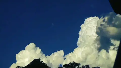 thi ra tuong tu la the nay