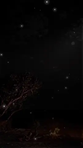 #محضور🥺#مہولأنہيہ#مہطہنہوخہ#تصميمي_رايكم_يهمني_الايك_كومنت_فولو_متابع#تصميم_فيديوهات🎶🎤🎬 