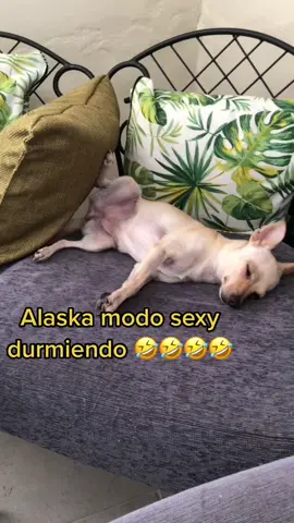 Esa siesta no se la pierde ni loca 😂😂😂😂😂