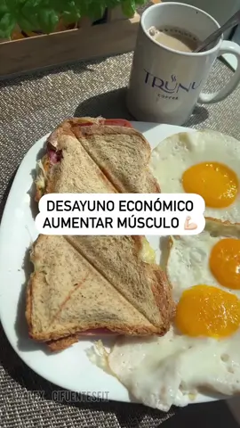 Idea desayuno aumento MUSCULAR 💪🏻 #musculo #ganarmasamuscular #nutricion 