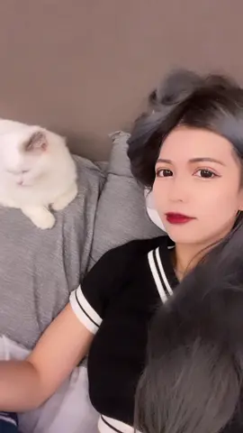 以定是爆氣～ #上推薦通知我 #貓咪日常 