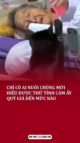 :( #vtvcab #xuhuong #trending