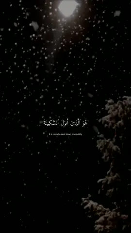 القارئ عبد الرحمن مسعد | سورة الفتح 