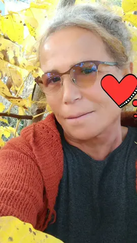 sarardı yapraklar geldi sonbahar 