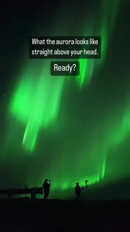 Have you seen it in real life 😍 #fyp #northernlights #beauty cc- vincentledvina