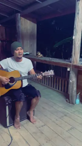 กระท่อมในสวน อบอวนไปด้วยความเหงา  #ป่าดงพงไพร #นายกโอป้ายพัทลุง  