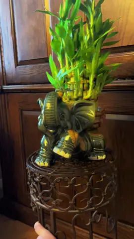 ❤️Hermoso regalo que me dió mi amiga Irene, el elefante de la abundancia en todo salud, amor, éxitos. Muchísimas graciassss, me encanta 😍🥰🙏🙌🏻