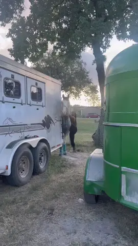 #shortgirl #shortgirproblems #shortgirproblems #hugehorse #fyp #horseriding #horseridingfails #trendinghorse