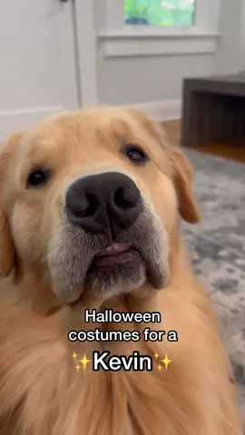 If you’re a Kevin, this video is for you 😅