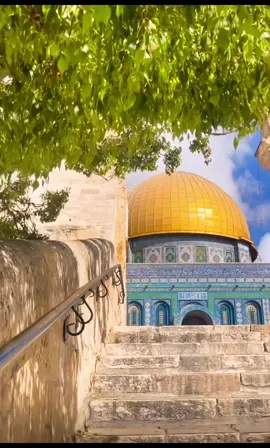 Beautiful Al Quds #alquds #jerusalem #palestine #fypシ #fyp 
