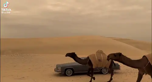 واردنا موتر الامير بوفيصل