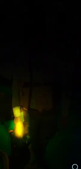 #CapCut 