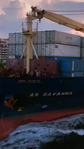 JASA IMPORT BORONGAN DOOR TO DOOR DARI BERBAGAI NEGARA TUJUAN INDONESIA #jasaimportresmi #borongandoortodor #logisticsspecialist #jasaundernameimport #fypdongggggggg 