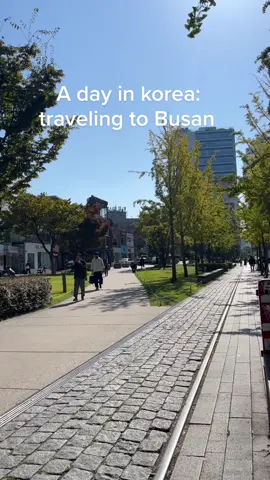 travel day🚆😴 #fyp #korea #koreatravel #seoul #busan 