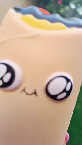 #dancedance #buritto 