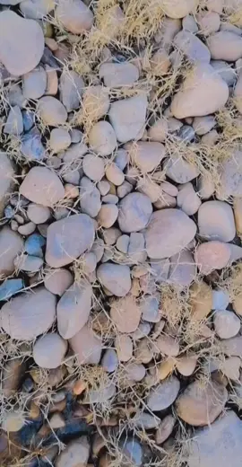 Yah kisa salooq hai@inam_khan mirpur azad kashmir#