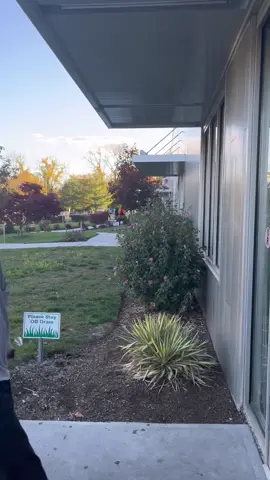 Who thinks they would win 🔪 #rockinjumpmtkisco #rockinjump #fyp #circustrix #foryoupage #trampolinepark #halloween #michaelmyers 