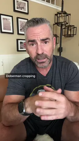 This post is not for all the haters because nothing I say will change their opinion about this but Having lost 2 Dobermans to dcm, the health and temperament of a Doberman is the most important thing to me. By going with a preservative breeder that focuses on the health of this breed, it gives Bruce one of the best chances to escape from this horrible disease...But because he’s from a preservation breeders, they also preserve the look of the Doberman which includes cropping and docking as Karl Dobermans intended when he created the Doberman. #Doberman #dobermann #rubydooby_do #PetsOfTikTok #dogsoftiktok #brucethedoberman 