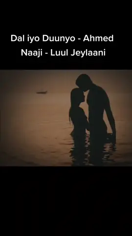 Dal iyo Duunyo - Ahmed Naaji - Luul Jeylaani #somalitiktok #somalitiktok12 #somalihees #jacyl #banadir #xamari #xamar 
