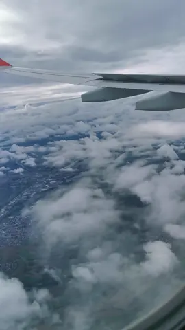 المشهد الذي بهر د يحيى لحظة تحليق الطائرة في سماء فرانكفورت