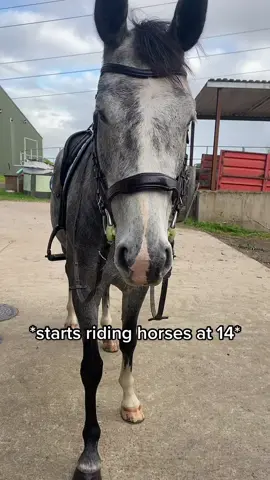 horse girl life #horse #horsetok #FlexEveryAngle #horsesoftiktok #DidYouYawn #horsesontiktok #eq #horseriding #horsegirl #equine #equestrian #equinelife #equestriansoftiktok #horsebackriding #equestrianlife 