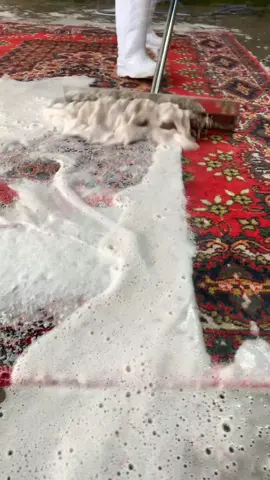 #satisfying #carpetcleaning #asmr 