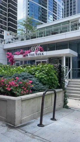gotta visit bookstores in every place i go #blackgirltiktok #africantiktok #solodate #chicago #Vlog #BookTok 