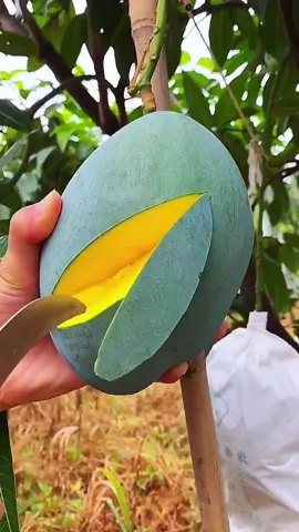 OMG 😱😋🥭#usa #fruit #asmr