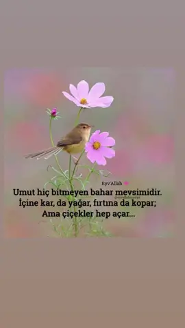 #2200 #umut #dua #özlemek #hasretim .