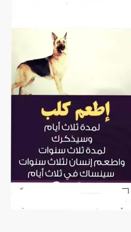لكمة  خبز  وعظام  جلب  وذكرهن  والعاشيرته  سنين  كلهن  نكرهن