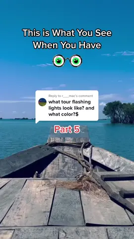 Replying to @r___mac This is What You See When You Have Light Flashes … if you notice any flashes of light from the corner of your vision, schedule a dilated eye exam right away!