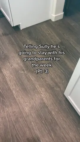 The way he waited to be let in 🥹 #labsoftiktok #sully #funnyanimals #doglover #wholesome 