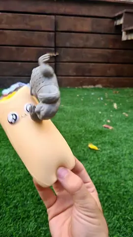 #dancedance #buritto 